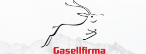 Aedes Web Solutions on Eesti gasellettevõte 2018