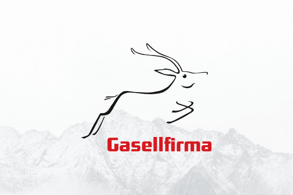 Lumav Commerce Eesti gasellettevõte 2022
