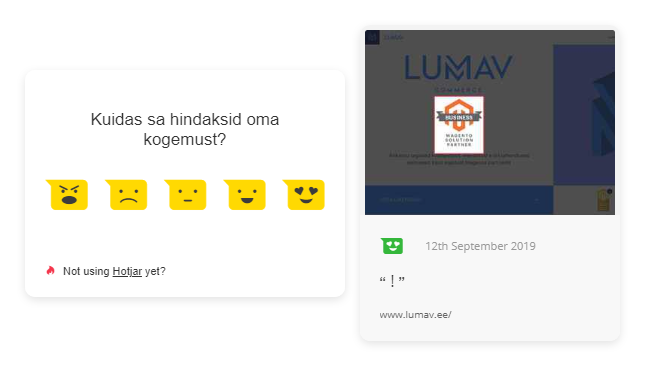 Hotjar incoming feedback näidis