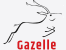 Gazelle auhind ettevõtetele