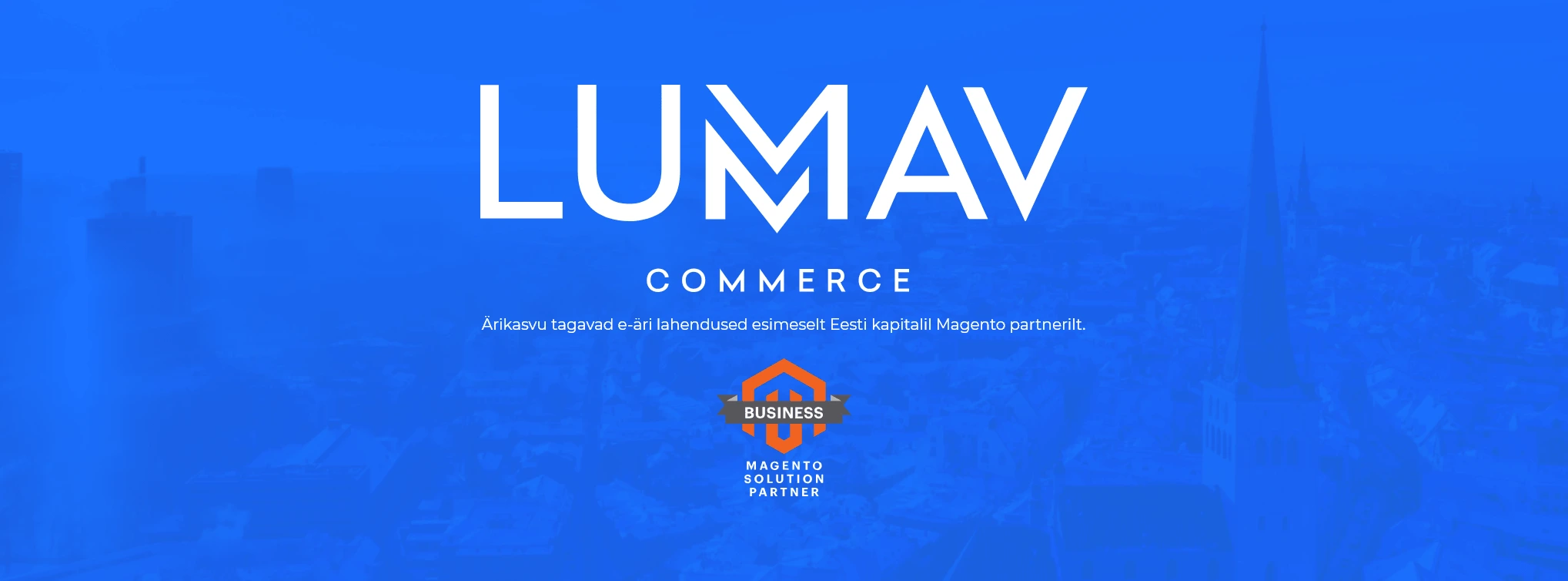 Lumavi e-poe arenduse analüüsi tööprotsess